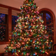 Illustration for article titled Photo Contest: Christmas Lights